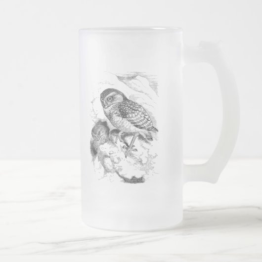  Burrowing Owl Chick Bird Illustratie Matglas Bierpul (Rechts)