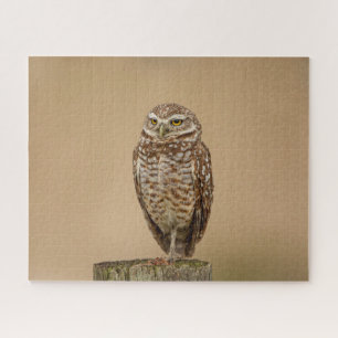 Burrowing Owl Jigzaag Puzzle Legpuzzel