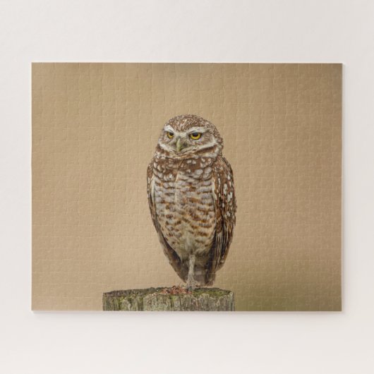 Burrowing Owl Jigzaag Puzzle Legpuzzel (Horizontaal)