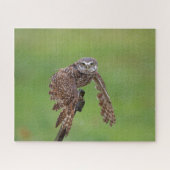 Burrowing Owl Jigzaag Puzzle Legpuzzel (Horizontaal)