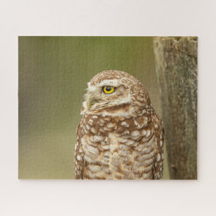 Burrowing Owl Jigzaag Puzzle Legpuzzel