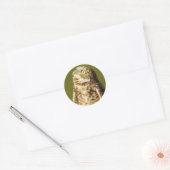 Burrowing Owl Sticker (Envelop)