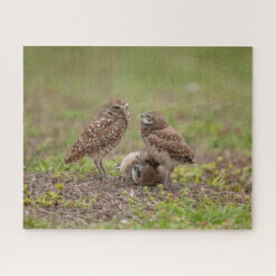 Burrowing Owls Jigzaag Puzzle Legpuzzel