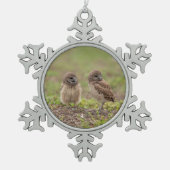 Burrowing Owls Snowflake Pewter kerstversiering Tin Sneeuwvlok Ornament (Voorkant)
