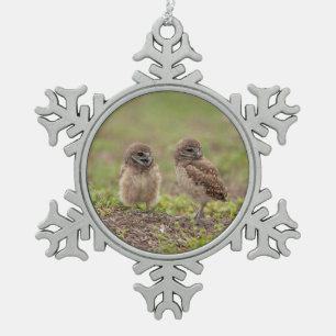 Burrowing Owls Snowflake Pewter kerstversiering Tin Sneeuwvlok Ornament