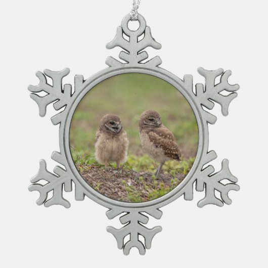 Burrowing Owls Snowflake Pewter kerstversiering Tin Sneeuwvlok Ornament (Voorkant)