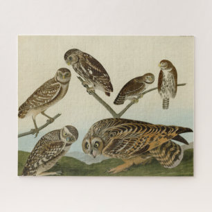 Burrowing Owls - van Audubon's Birds of America Legpuzzel