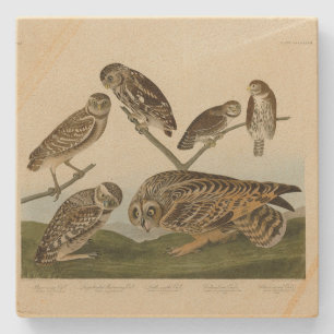 Burrowing Owls - van Audubon's Birds of America Stenen Onderzetter