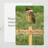 Burrowing Uil Kerst Kaart (Voorkant / Achterkant)