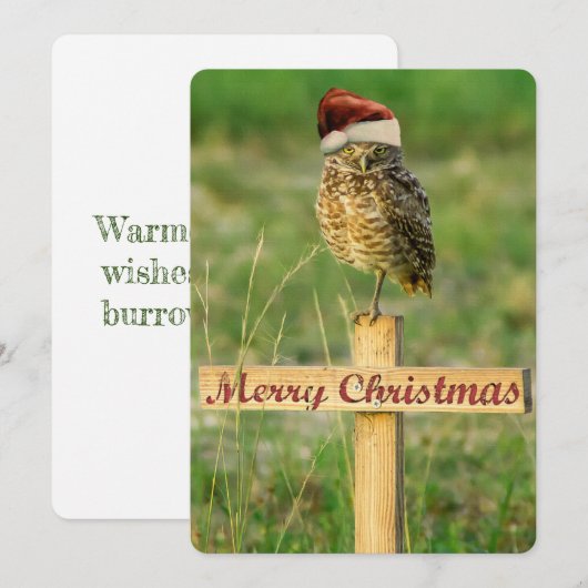 Burrowing Uil Kerst Kaart (Voorkant / Achterkant)