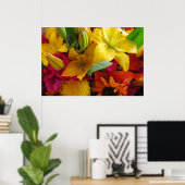 Bursts van het Poster van Kleuren (Thuiskantoor)