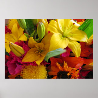 Bursts van het Poster van Kleuren