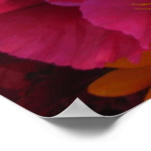 Bursts van het Poster van Kleuren (Hoek)