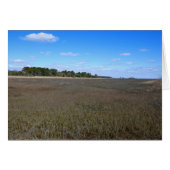 Burton Island Natuur Preserve Trail (Voorkant Horizontaal)