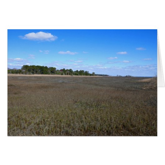Burton Island Natuur Preserve Trail (Voorkant Horizontaal)