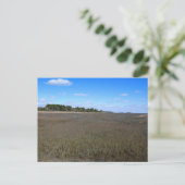 Burton Island Natuur Preserve Trail Briefkaart (Staand voorkant)