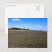 Burton Island Natuur Preserve Trail Briefkaart (Voorkant / Achterkant)