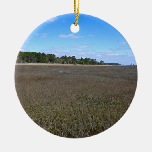 Burton Island Natuur Preserve Trail Keramisch Ornament (Voorkant)