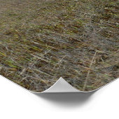 Burton Island Natuur Preserve Trail Poster (Hoek)