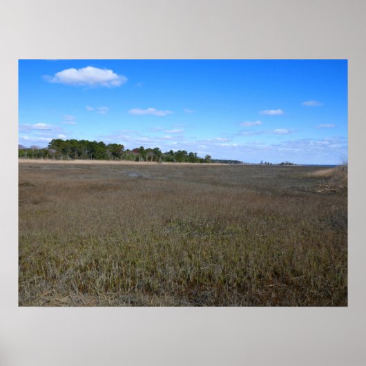 Burton Island Natuur Preserve Trail Poster (Voorkant)