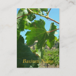 Bus. Kaart - Druivenwijn Visitekaartje