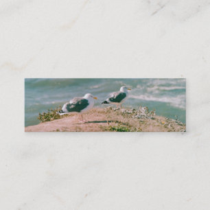 Bus. Kaart - Seagulls op Cliff Mini Visitekaartje