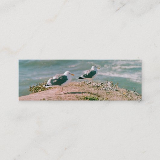 Bus. Kaart - Seagulls op Cliff Mini Visitekaartje (Voorkant)