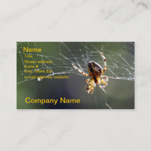 Bus. Kaart - Spider op internet Visitekaartje