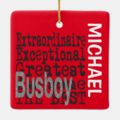 Busboy Extraordinaire CUSTOM Ceramic Ornamed Keramisch Ornament (Achterkant)