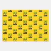 Buscando Estados Unidos Inpakpapier Vel (Voorkant 3)