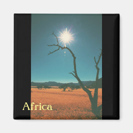 Bush Savannah Landschap Afrika Boom Magneet