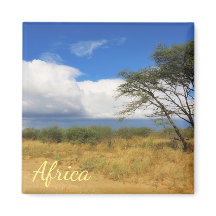 Bush Savannah Landschap Afrika Safari Boom Magneet