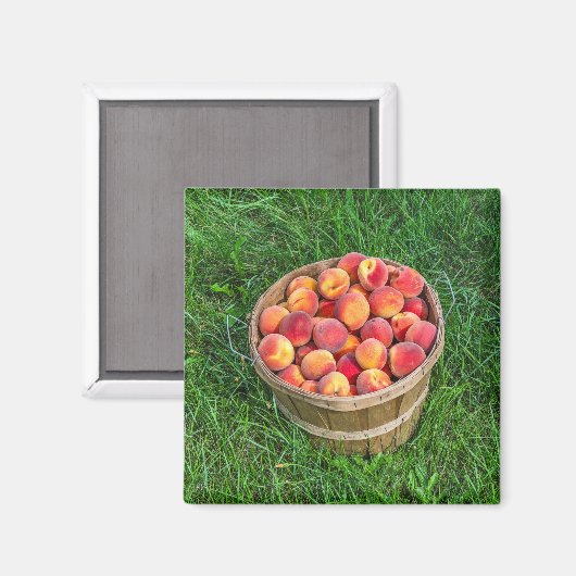 Bushel Basket of Fresh Peaches Magneet (Voorkant / Achterkant)
