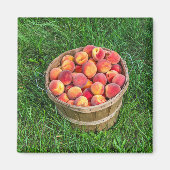 Bushel Basket of Fresh Peaches Magneet (Voorkant)