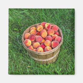 Bushel Basket of Fresh Peaches Magneet