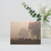 Bushfire-Briefkaart Briefkaart (Staand voorkant)