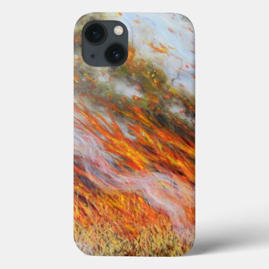Bushfire Inferno 2014 Case-Mate iPhone Case (Achterkant)