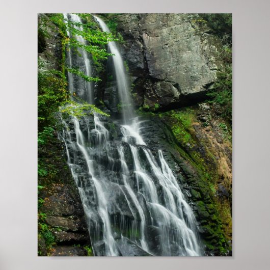 Bushkill Falls Poster (Voorkant)