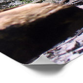 Bushkill Herfsten Poster (Hoek)