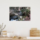 Bushkill River in de Poconos. print 0086 (Keuken)