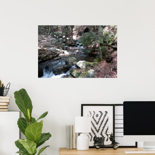 Bushkill River in de Poconos. print 0086 (Thuiskantoor)