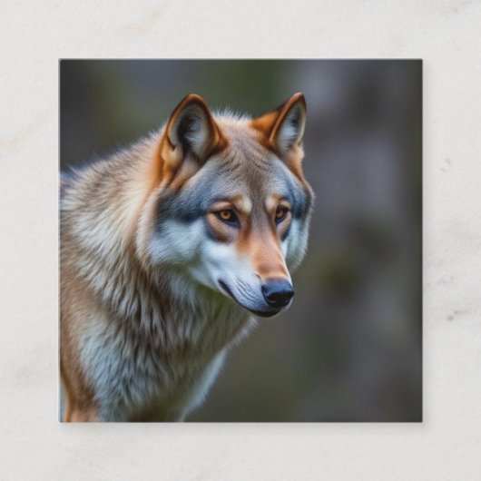 Business card  vierkante visitekaartje (Voorkant)