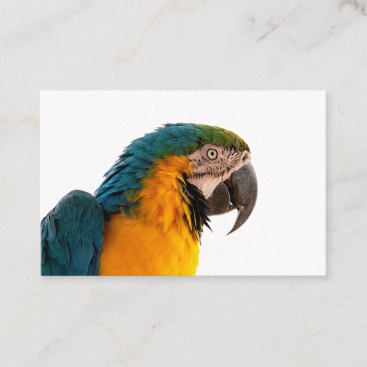 Business Card Visitekaartje (Voorkant)