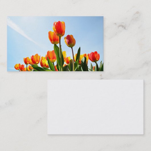 Business card with tulips visitekaartje (Voorkant / Achterkant)