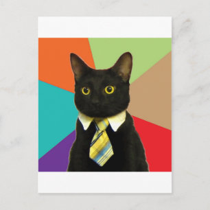 Business Cat Advice Animal Meme Briefkaart