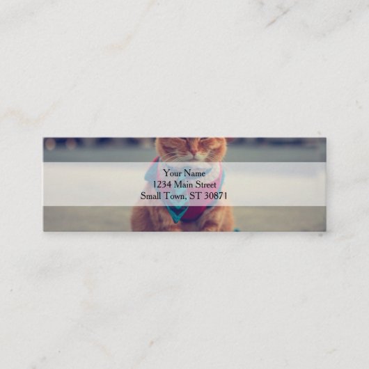 Business Cat met stropdas Mini Visitekaartje (Voorkant)