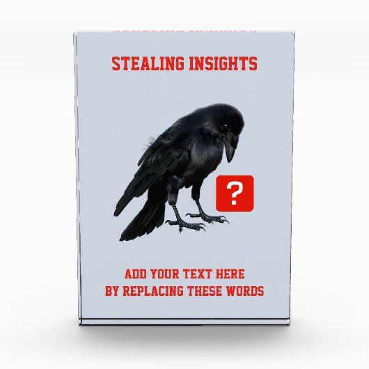 Business Intelligence-analist bij Custom Crow Fotoblokken (Voorkant)