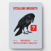 Business Intelligence-analist Crow Fotoplaat (voorkant)