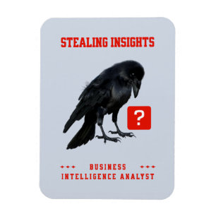 Business Intelligence-analist Crow Magneet