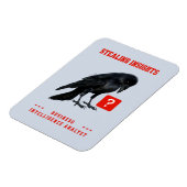 Business Intelligence-analist Crow Magneet (Linkerzijde)
